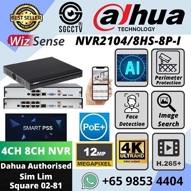 dahua security smart pss