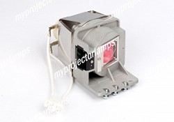 Projector lamp for Viewsonic RLC-081