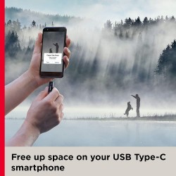 SanDisk 32to256GB Ultra Dual Drive Go USB Type-FlashDrive