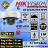 Hikvision IPC Dome DS-2CD2121G1-IDW1 WIFI 2MP MIC SD Camera