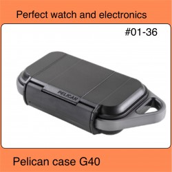 Pelican Go- Case G-40 Large (Black With Grey )