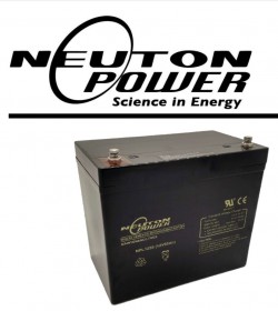 NEUTON POWER NPL1255 12V 55AH F11 REPLACEMENT BATTERY