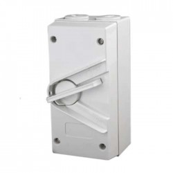NEIKEN 2 POLE 35A WEATHER PROTECTED IP66 ENCLOSED ISOLATOR