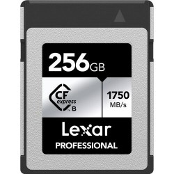 256GB - Lexar? Professional CFexpress? Type B Card SILVER Se