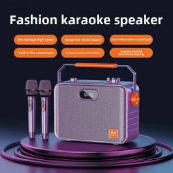 WIRELESS BLUETOOTH PORTABLE AMPLIFIER WITH 2 MICROPHONE