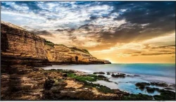 Samsung QE85T 85" Signage | UHD | 16/7 | 300nit | Landscape