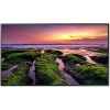Samsung QB55C 55" Signage| UHD | 16/7 | 350nit 