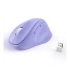 Micro Pack Ergo Lite 2 RF2.4G Wireless Mouse - Purple MP-V01