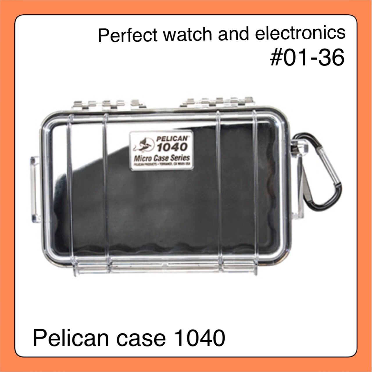 Pelican Micro Case 1040 ( Black With Clear )