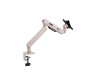 AOC AM400P ? Monitor Arm (Pink) PHI-AM400P
