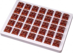KEYCHRON SWITCH - Gateron Phantom Brown (35 pcs) KEYCHRON-Z1