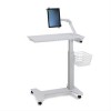 Ergotron 98-136-216 BASKET, 13" * 10" * 6".PATIENT TABLE, BW