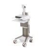 Ergotron SRVC-AMUCFP-P Platinum Annual Service Contract: Car