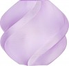 Bambu PETG Translucent - Translucent Purple BAM-G01-P0-1.75-