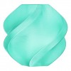 Bambu PETG Translucent - Translucent Teal - with Bambu Reusa