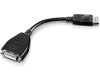 DisplayPort to Single-Link DVI-D Monitor Adapter 45J7915