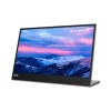 Lenovo 66E4UAC1WW Lenovo L15 Mobile Monitor