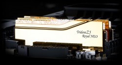 Gskill MM 4181 F5-6000J2836G16GX2-TR5NG