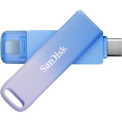 SanDisk SDIXD0N-256G-GN6TP SDIXD0N-256G-GN6TP,Phone Drive,US