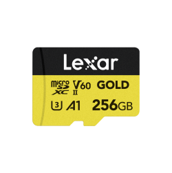 LEXAR LEXAR-LMSGOLD256G-BNNNG 256GB - Lexar? Professional GO