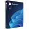 microsoft-windows-professional-11-64-bit-esd-fqc-10572-12733