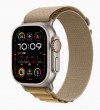 APPLE MXN13FE/A 49mm Tan Alpine?Loop -?Small - Natural Titan