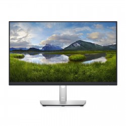 Dell 24 inch P2422HE