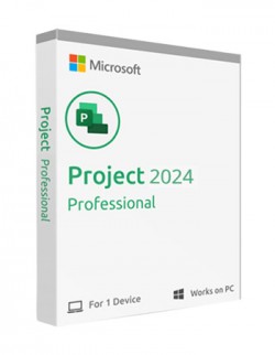 Microsoft? Project Professional 2024 All Lang CTR ESD NR EP2