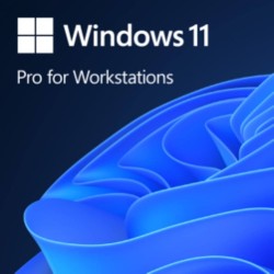 Microsoft Windows 11 Professional 64-Bit OEM for Workstation