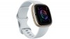 Fitbit Sense 2 Blue Mist-Soft Gold FB521GLBM-FRCJK
