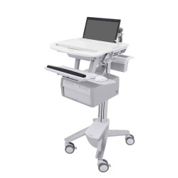 Ergotron SV43-11C0-0 StyleView Laptop Cart, Tall Double Draw