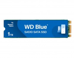 Western Digital WDS100T3B0B WD Blue SA510 SATA SSD M.2 2280?